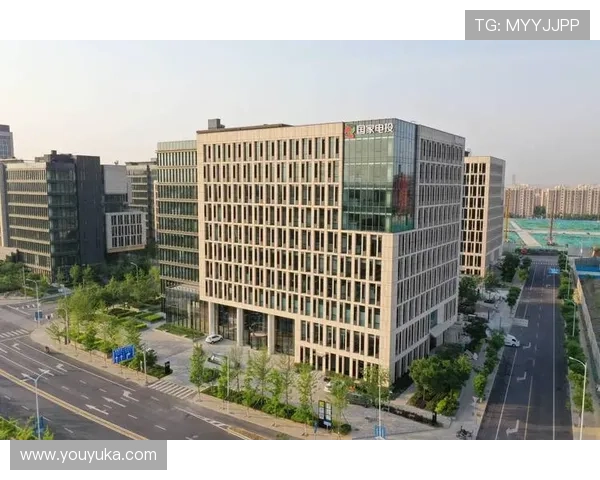 PA厅电投在公共事务中的应用案例分析与未来发展趋势探讨 PA厅电投在公共事务中的应用案例分析与未来发展趋势探讨