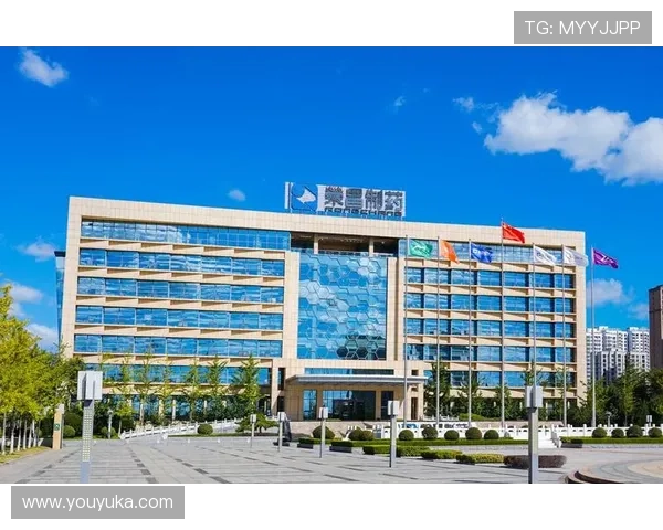 K8凯发真人娱乐平台的客户服务与技术支持全面评测 K8凯发真人娱乐平台的客户服务与技术支持全面评测